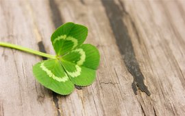 使用 PHP 实现随机图片